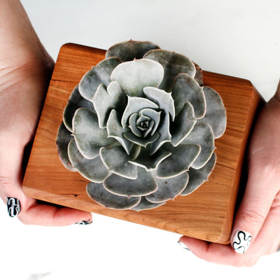 The Living Urn Planter™ - Heaven Bound