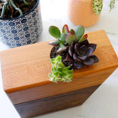 The Living Urn Planter™ - Heaven Bound